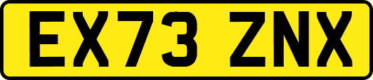 EX73ZNX