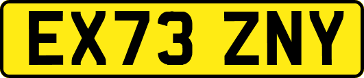 EX73ZNY