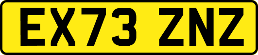 EX73ZNZ