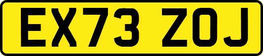 EX73ZOJ