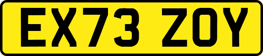 EX73ZOY
