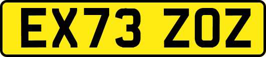 EX73ZOZ