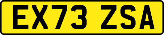EX73ZSA