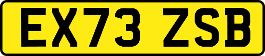 EX73ZSB