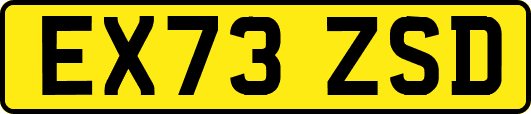 EX73ZSD