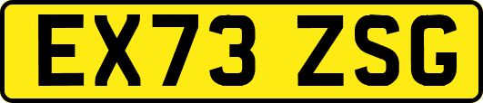 EX73ZSG