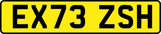 EX73ZSH