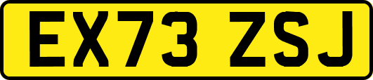 EX73ZSJ