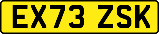 EX73ZSK