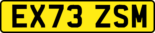 EX73ZSM