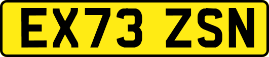 EX73ZSN
