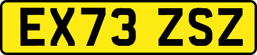 EX73ZSZ