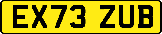 EX73ZUB
