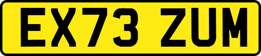 EX73ZUM