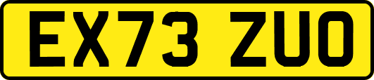 EX73ZUO