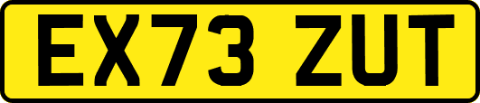 EX73ZUT