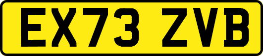 EX73ZVB
