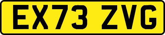 EX73ZVG