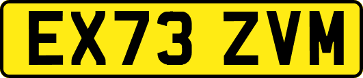 EX73ZVM