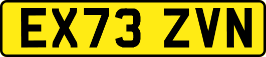 EX73ZVN