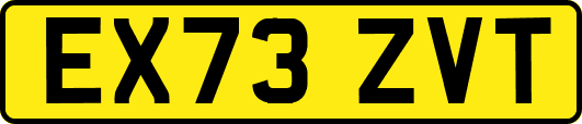 EX73ZVT