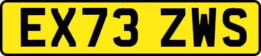 EX73ZWS