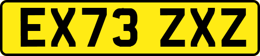 EX73ZXZ