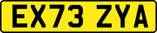 EX73ZYA