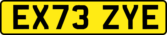 EX73ZYE