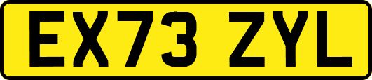 EX73ZYL