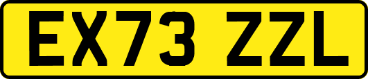 EX73ZZL
