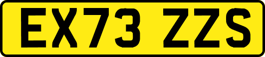 EX73ZZS