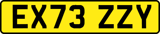 EX73ZZY