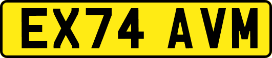 EX74AVM