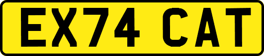 EX74CAT