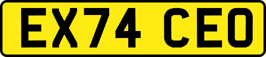 EX74CEO