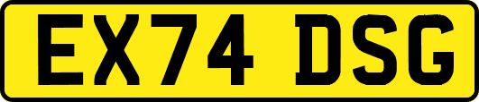 EX74DSG