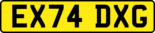 EX74DXG
