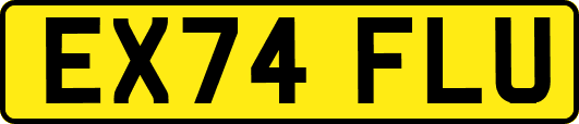 EX74FLU