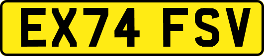 EX74FSV