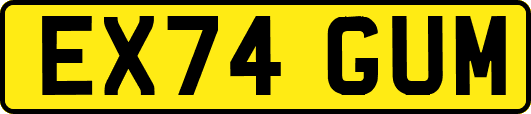 EX74GUM