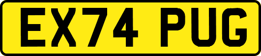 EX74PUG
