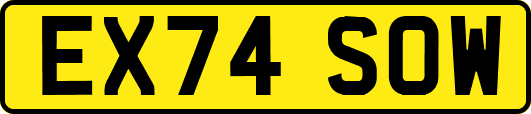 EX74SOW