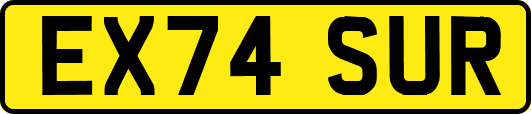 EX74SUR