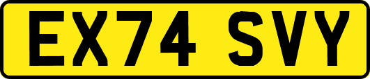 EX74SVY