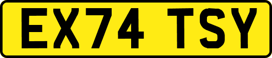 EX74TSY