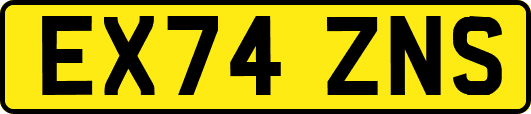 EX74ZNS