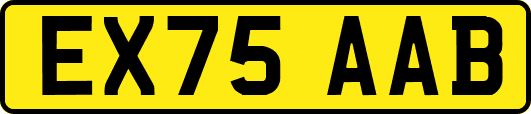 EX75AAB