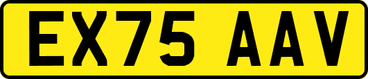 EX75AAV