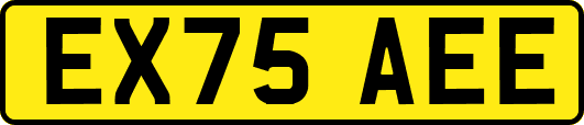 EX75AEE